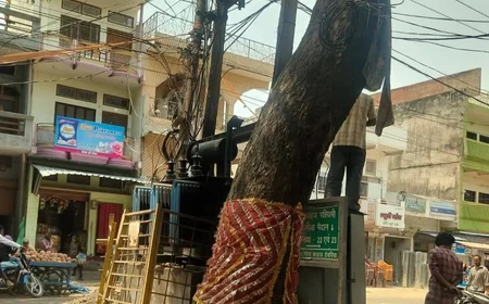 देवरिया: विद्युत व्यवस्था सुधार के लिए चेयरपर्सन का निरीक्षण, जले ट्रांसफार्मर पर त्वरित कार्रवाई