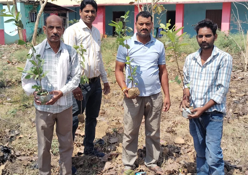 बरहज के स्नातकोत्तर महाविद्यालय में पौधारोपण, 200 पौधे लगाए गए