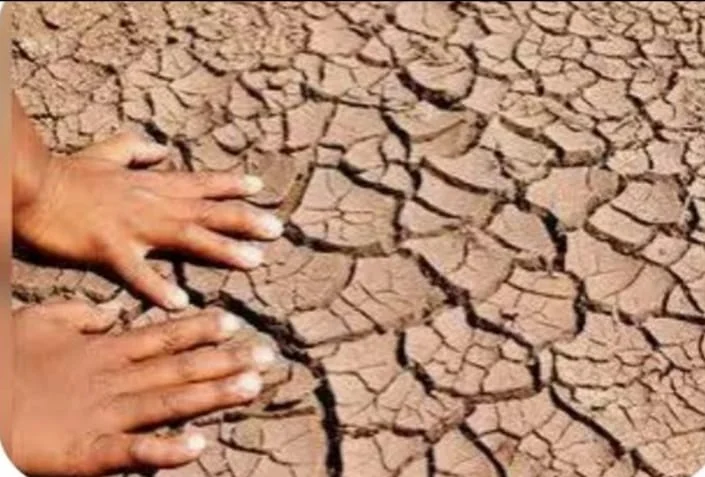 बढ़ती गर्मी और घटते पेड़: क्या हम आने वाली पीढ़ी को सुरक्षित धरती दे पाएंगे?